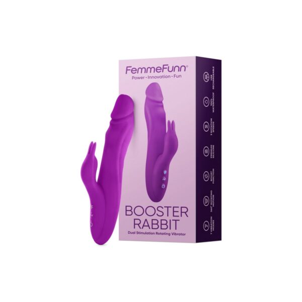 Dual Stimulation Vibe FemmeFunn Booster Rabbit Purple - Image 3
