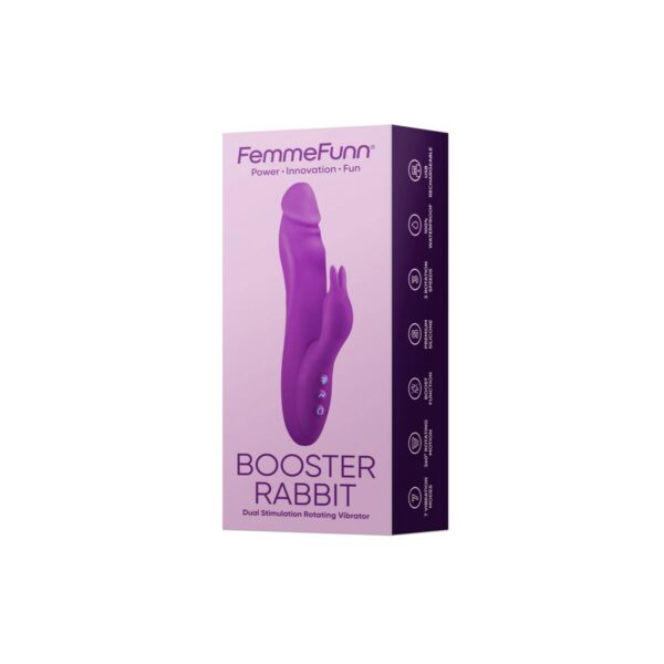 Dual Stimulation Vibe FemmeFunn Booster Rabbit Purple - Image 5