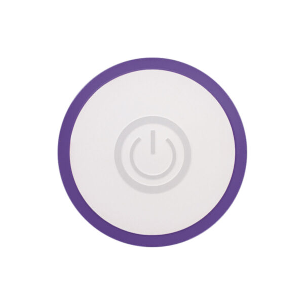 Mini-Vibrator Evolved Slim Purple - Image 2