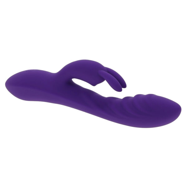 G-Spot Vibrator Evolved Rabbit Purple - Image 5