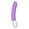 G-Spot Vibrator Liebe Exciter Violet - Image 4