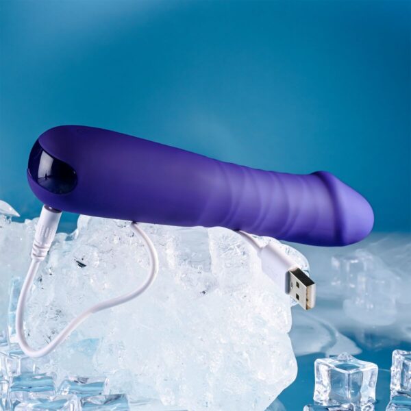 Classic Vibrator Evolved Selopa Purple - Image 4