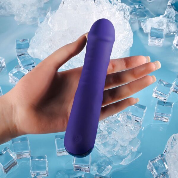 Classic Vibrator Evolved Selopa Purple - Image 6
