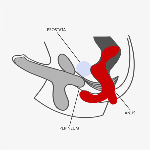 Prostate Massager Fun Factory DUKE Black - Image 4